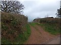 Track leading into field near Thornbury Cross