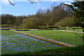 Watercress Beds, Old Alresford