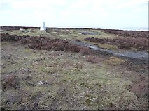 SE1145 : Rombalds Moor trig point by Christine Johnstone