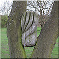 Wood Sculpture, Tiptree Heath