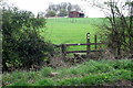 Part of the Cublington Spinney circular walk