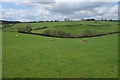 Farmland below Rockfield Farm