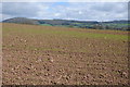 View to Buckholt Wood