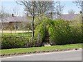 Footpath leaves lane, Lower Tysoe