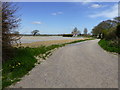 Track to Hundredsteddle Cottage