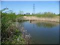 Nature reserve at The Hamptons