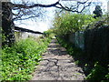 Old lane at Worcester Park