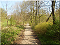 SD7009 : Path in Queen's Park by David Dixon