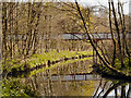 SD7009 : Queen's Park, River Croal and Dobson Bridge by David Dixon