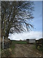 Trailer and trees