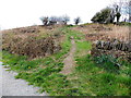 Track through Cefn Fforest & Pengam Ecopark