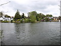 The River Thames near Sunbury