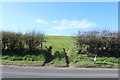 Farmland near Croftengee Bridge