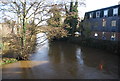 River Wey at Town Bridge