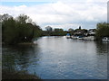 The River Thames at Desborough Island