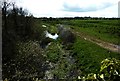 Lagan canal