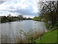 The River Thames below Staines