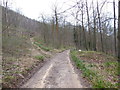 The path above Woodlands Farm