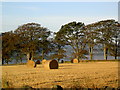 Early autumn dawn in rural Aberdeenshire