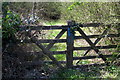 Gate into Shirehill Woods