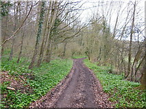 SO9013 : Heading towards Cooper's Hill Farm by Ian S