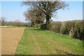 Bridleway to Whittlewood Forest