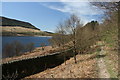 SK0698 : Beside Torside Reservoir by Graham Hogg