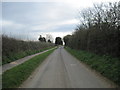 Green  Dike  Lane  out  of  Slingsby