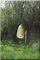 Footbridge on the Path to Little Totham