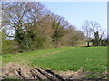 Field entrance off the entrance to South Manor Farm