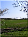 Looking towards the footpath to Willow Marsh Lane