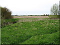 Fields by Boveney Ditch