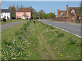 Flower Lined Ditch, Fordham