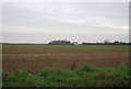 Farmland by Nash Rd