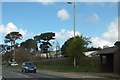 Bus shelter and garden centre near Ashford