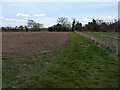 Field edge footpath outside Chetwynd Aston