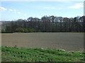 Farmland east of Heddon-on-the-Wall