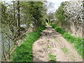 The Thames Path opposite Bray