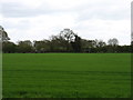 Fields by the River Thames