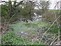 Pond beside footpath junction