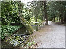 SE2685 : The Water Steps, Thorp Perrow Arboretum by Oliver Dixon