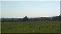 View of the Shard and the backs of houses on Colson Road from Epping Forest College