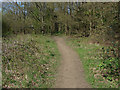 Footpath, Papercourt Lake