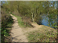 Footpath by the lake