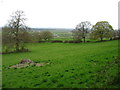 Fields north of Horton