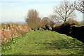 Bridleway to Bramley Lane