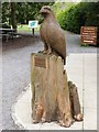SE2685 : "Eagle" at Thorp Perrow Arboretum by Oliver Dixon
