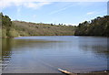 Cwm Lliedi reservoir