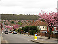 Glenesk Road, Eltham