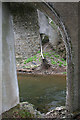 Castleton New Bridge Buttresses